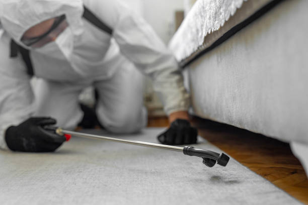 Professional Bed Bug Control technician working in Kronenwetter, WI