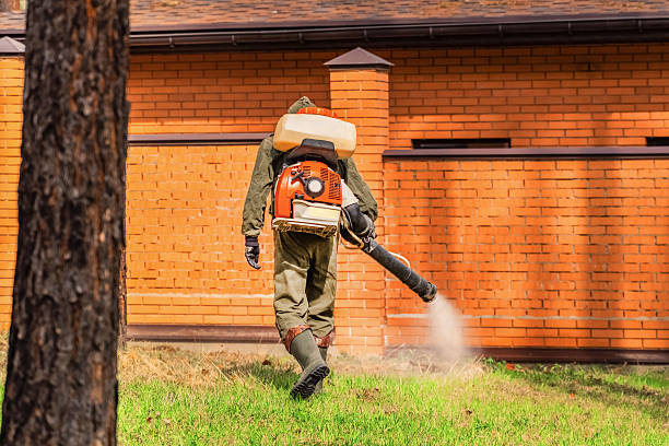 Trusted Mosquito Control service in Kronenwetter, WI - Nex Pest Control